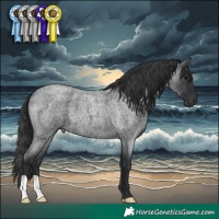 Horse Color:Blue Roan 