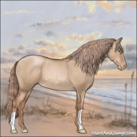 Horse Color:Liver Red Dun Pearl 
