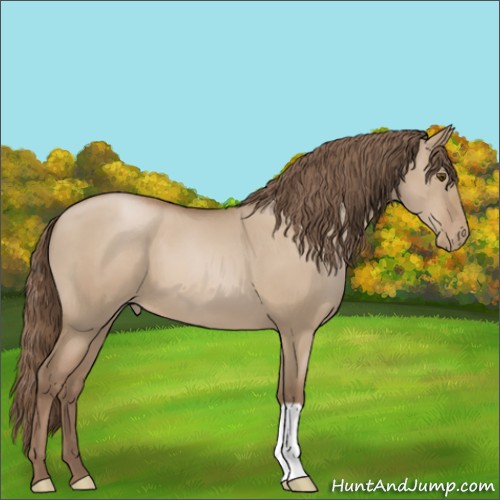 Horse Color:Grullo Pearl 