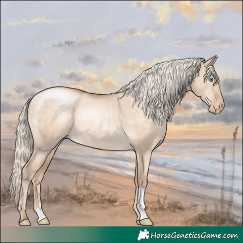Horse Color:Chocolate Palomino Pearl Dun 
