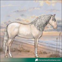 Horse Color:Chocolate Palomino Pearl Dun 