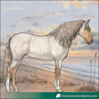 Horse Color:Chocolate Palomino Roan Dun 