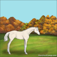 Horse Color:Cremello Splash  and Cremello Splash 