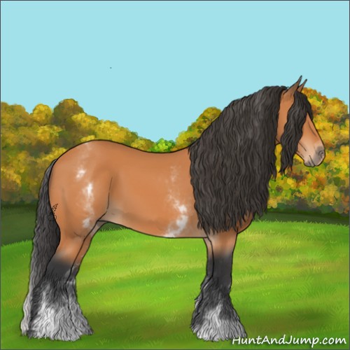 Horse Color:White Spotted Bay