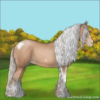 Horse Color:Silver Black Pearl Sabino Tobiano