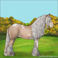 Horse Color:Silver Black Pearl Sabino Tobiano