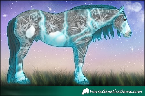 Horse Color:Thunderstruck Black Ice Frame 