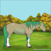 Horse Color:Watercolor Bay 