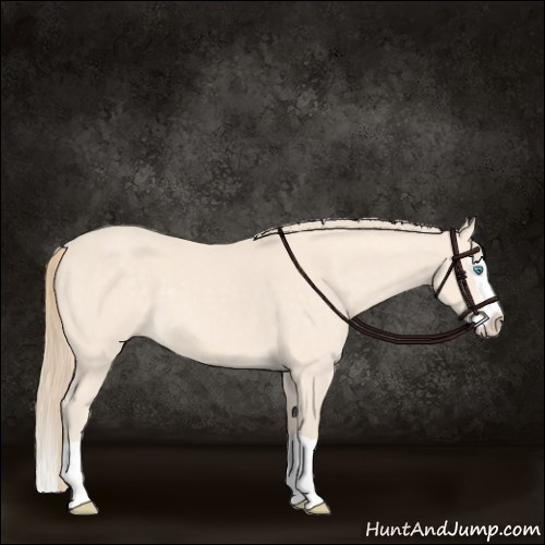 Horse Color:Perlino Splash 