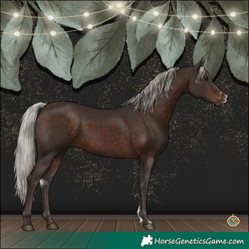 Horse Color:Silver Brown Sabino