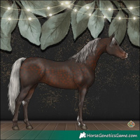 Horse Color:Silver Brown Sabino 