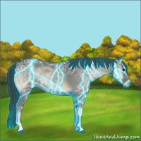 Horse Color:Thunderstruck Blue Onyx Ice Roan 