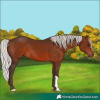 Horse Color:Silver Brown