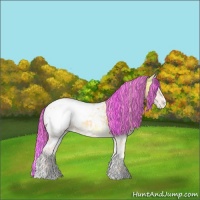 Horse Color:Painted White Spotted Palomino Ice Onyx Appaloosa