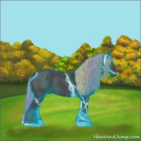 Horse Color:Thunderstruck Midnight Buckskin Ice Pearl Onyx 