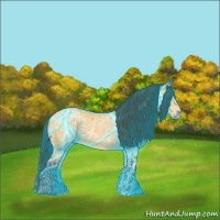 Horse Color:Void Thunderstruck Buckskin Ice 