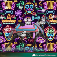 Horse Color:Gray Black 