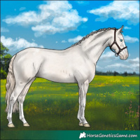 Horse Color:Perlino Varnish 