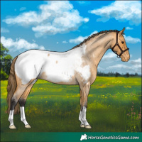 Horse Color:Buckskin Roan Near Fewspot 