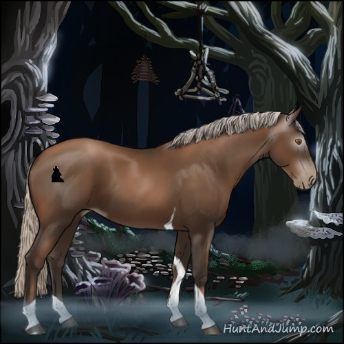 Horse Color:Gray Silver Black Pearl Tobiano