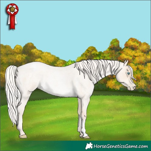 Horse Color:Silver Amber Cream Champagne Roan Pearl 