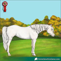 Horse Color:Silver Amber Cream Champagne Roan Pearl
