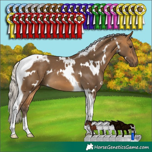 Horse Color:White Spotted Silver Buckskin Tobiano 