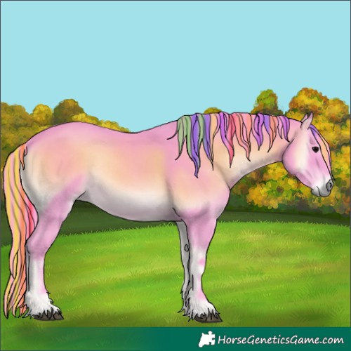 Horse Color:Painted Watercolor Bay Onyx Rabicano 