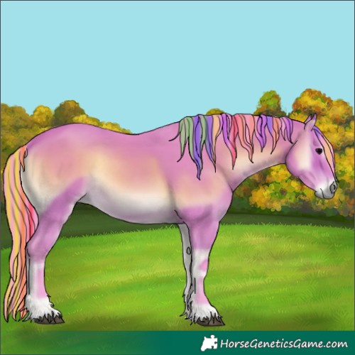 Horse Color:Painted Watercolor Bay Onyx Rabicano 