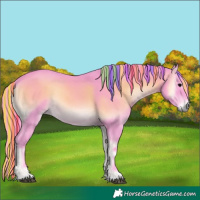 Horse Color:Painted Watercolor Bay Onyx Rabicano 