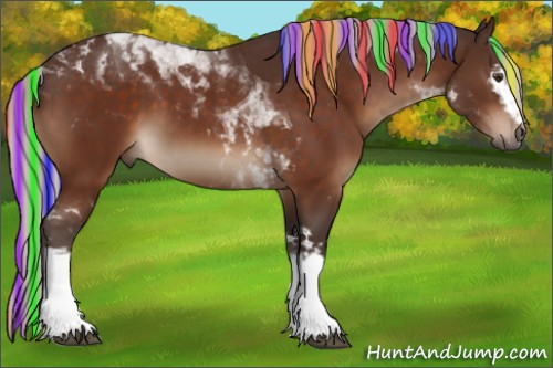 Horse Color:Painted White Spotted Silver Brown Tobiano 