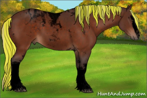 Horse Color:Void Painted White Spotted Silver Brown Tobiano 