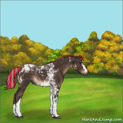 Horse Color:Painted White Spotted Silver Brown Tobiano 
