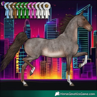 Horse Color:Liver Red Roan Tobiano 