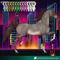 Horse Color:Liver Red Roan Tobiano