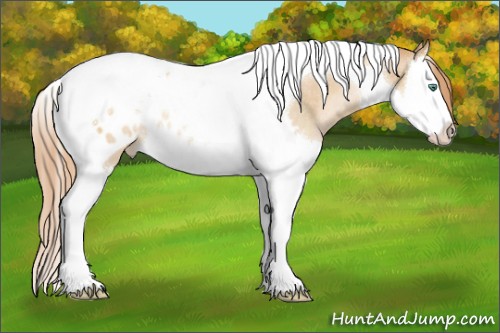 Horse Color:Smoky Black Pearl Splash Tobiano Appaloosa Rabicano 