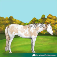 Horse Color:White Spotted Smoky Black Pearl Splash