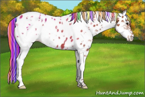 Horse Color:Painted White Spotted Brown Splash Tobiano Frame Appaloosa 