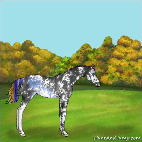 Horse Color:Painted White Spotted Liver Chestnut Splash Rabicano 