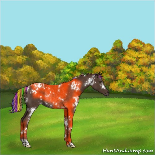 Horse Color:Painted White Spotted Liver Chestnut Rabicano 