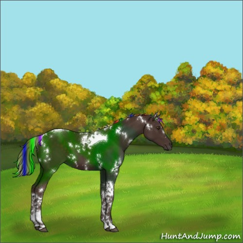 Horse Color:Painted White Spotted Liver Chestnut Tobiano 