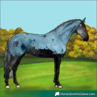 Horse Color:ERROR: UNKNOWN ANOMALY