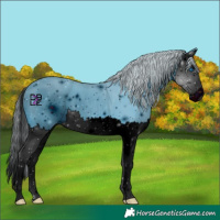 Horse Color:ERROR: UNKNOWN ANOMALY