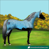 Horse Color:ERROR: UNKNOWN ANOMALY