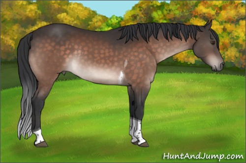 Horse Color:Brown Mushroom Tobiano Rabicano 
