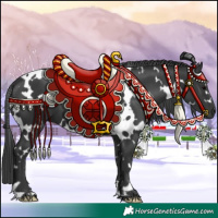 Horse Color:White Spotted Black 