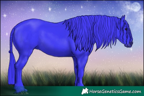 Horse Color:Watercolor Black 