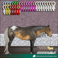 Horse Color:Silver Buckskin Sabino Blanket Rabicano 