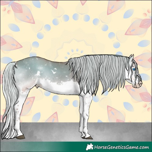 Horse Color:White Spotted Silver Bay Onyx Sabino Splash 