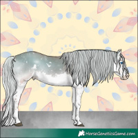 Horse Color:White Spotted Silver Bay Onyx Sabino Splash 